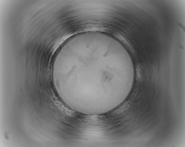 X0000100880828200807071124