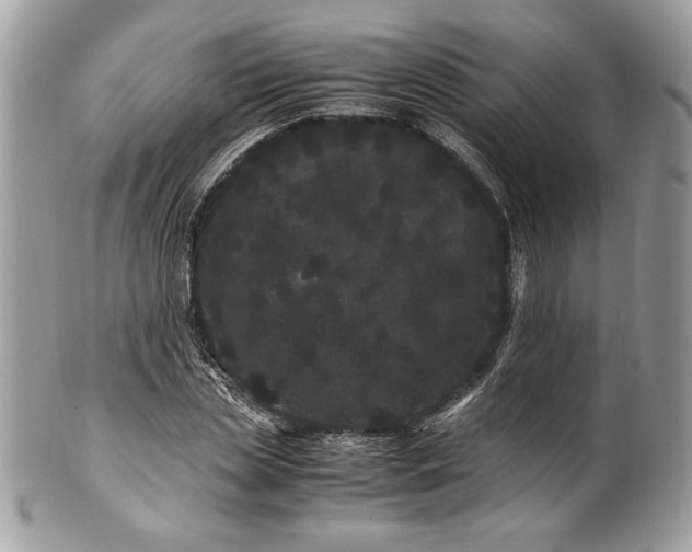 X0000100880829200807071124