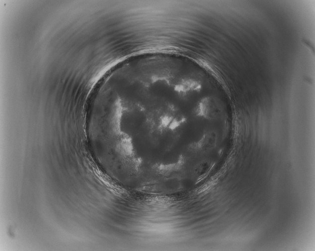 X0000100880830200807071124