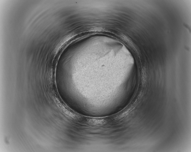 X0000100880831200807071124