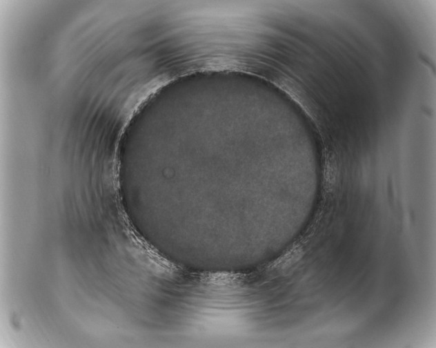 X0000100880832200807071124