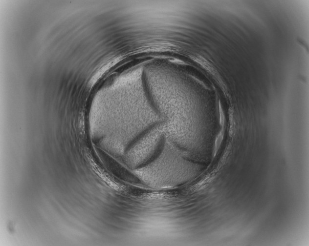 X0000100880834200807071124