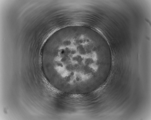 X0000100880835200807071124