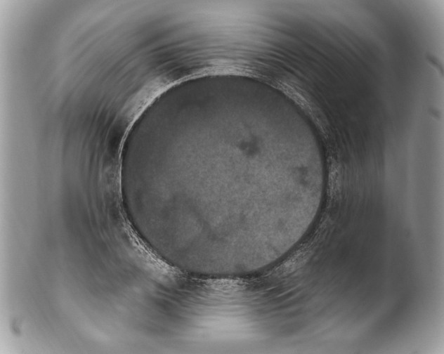 X0000100880836200807071124