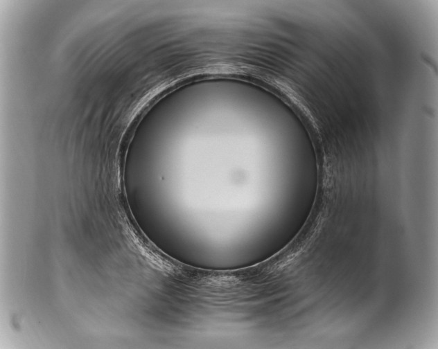 X0000100880837200807071124