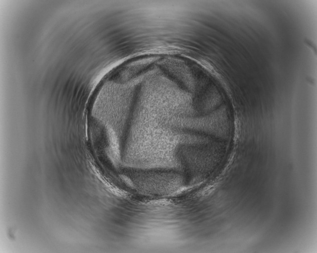 X0000100880838200807071124