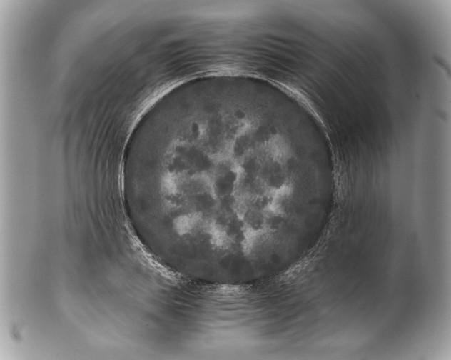 X0000100880839200807071124