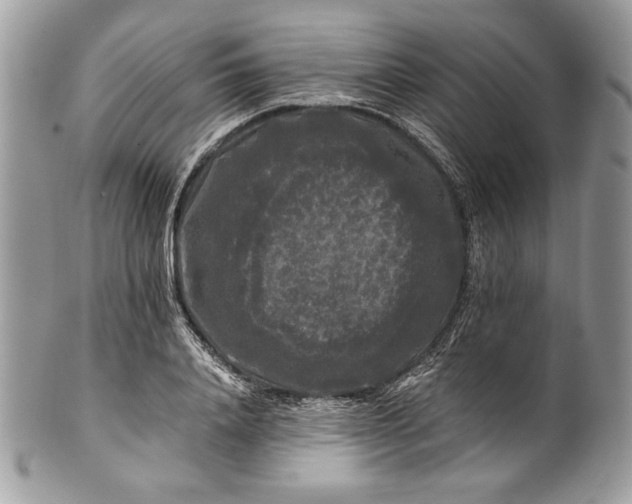 X0000100880840200807071124