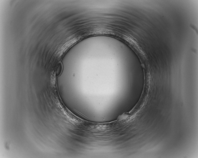 X0000100880841200807071124