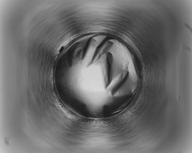 X0000100880842200807071124