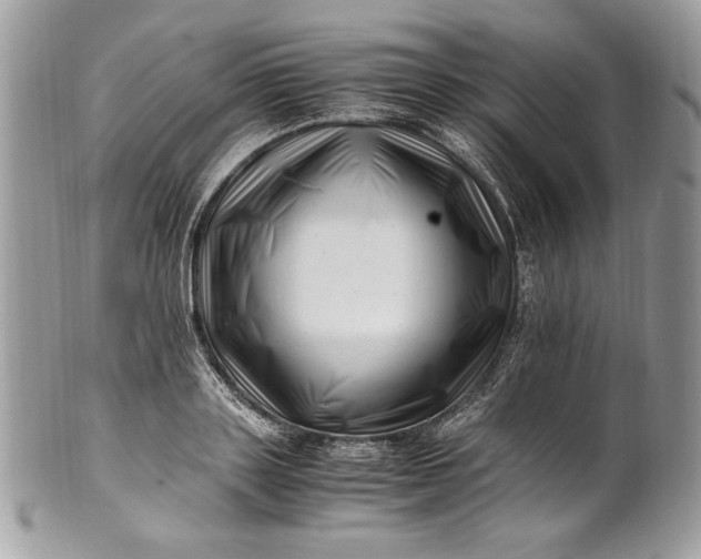 X0000100880843200807071124