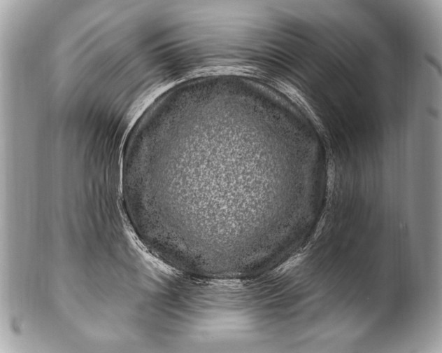 X0000100880844200807071124