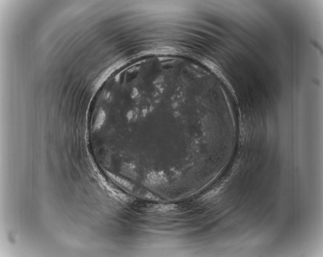 X0000100880845200807071124