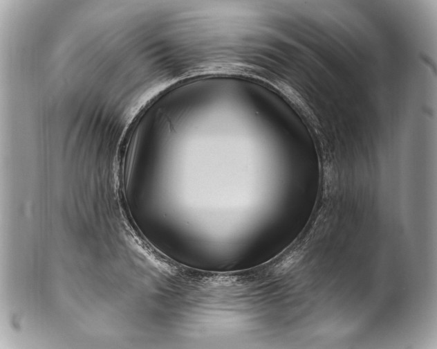 X0000100880846200807071124