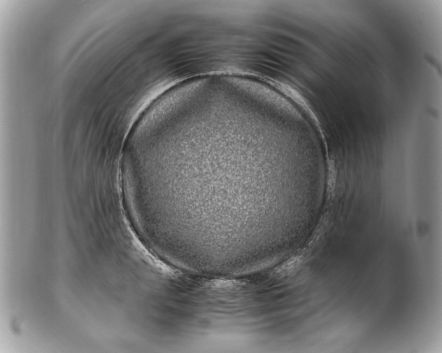 X0000100880847200807071124