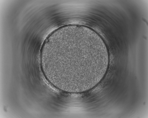 X0000100880848200807071124