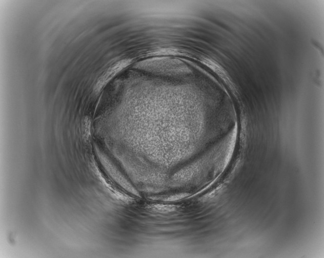 X0000100880849200807071124