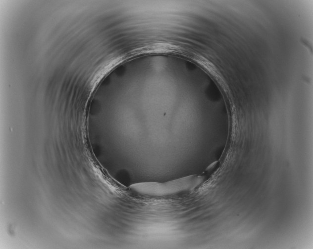 X0000100880850200807071124