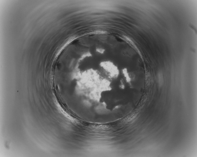 X0000100880851200807071124