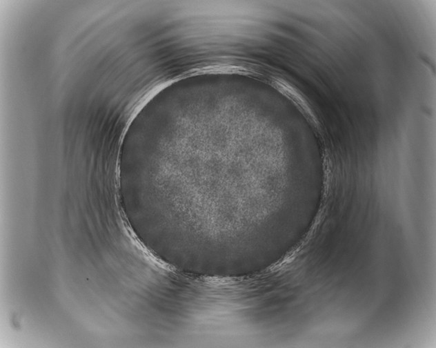 X0000100880852200807071124