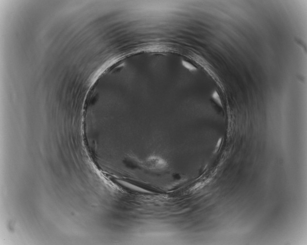 X0000100880853200807071124