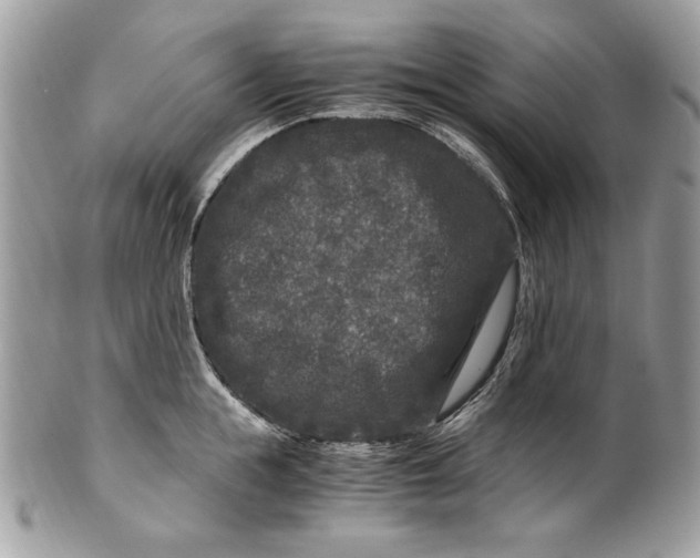 X0000100880855200807071124