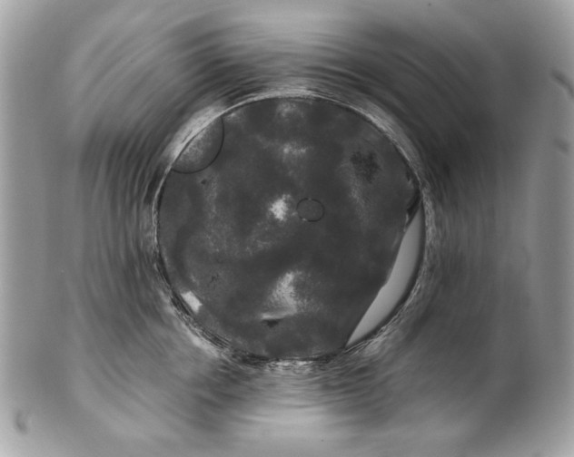 X0000100880858200807071124