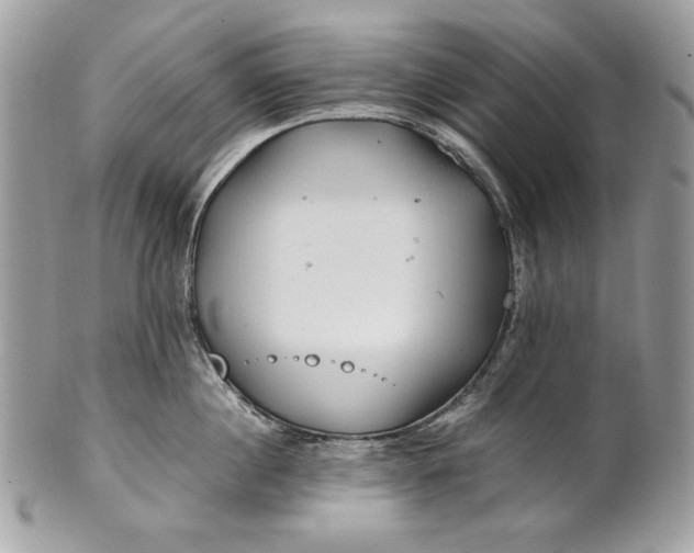 X0000100880860200807071125