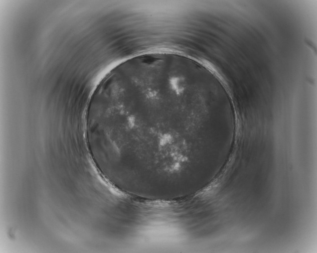 X0000100880862200807071125