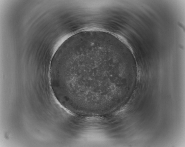 X0000100880863200807071125