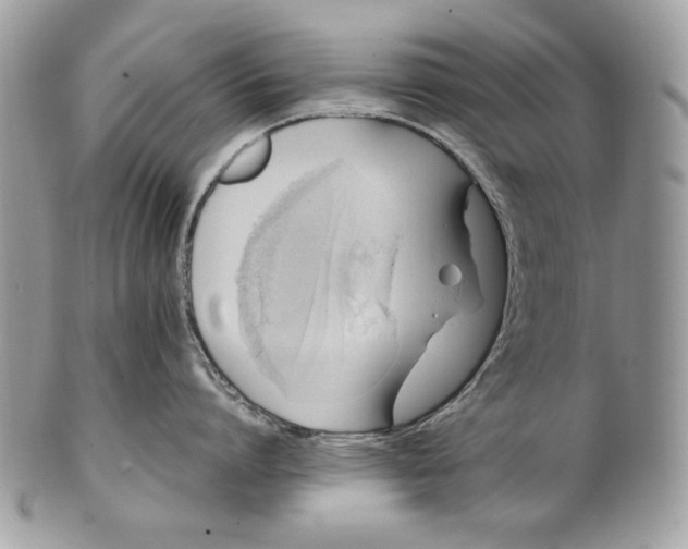 X0000100880864200807071125