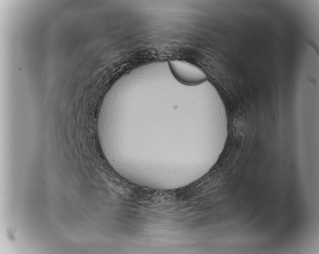 X0000100880865200807071124