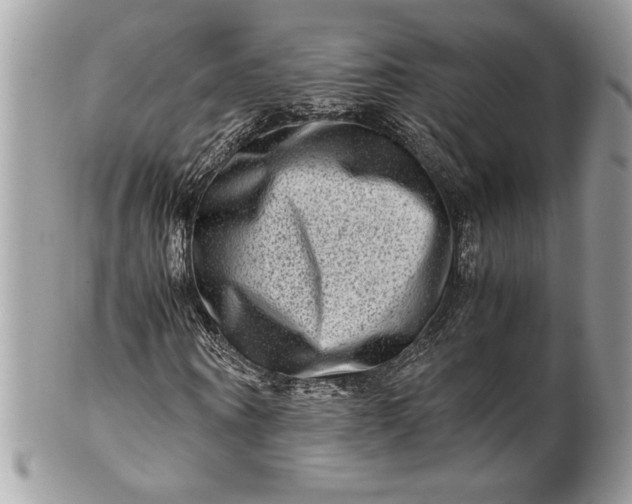 X0000100880866200807071124