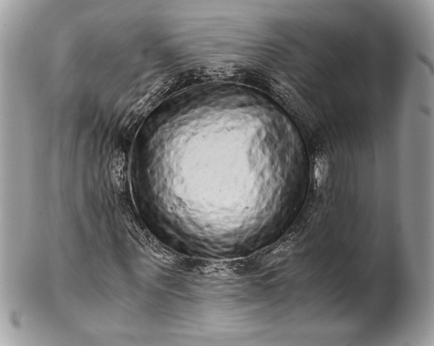 X0000100880867200807071124