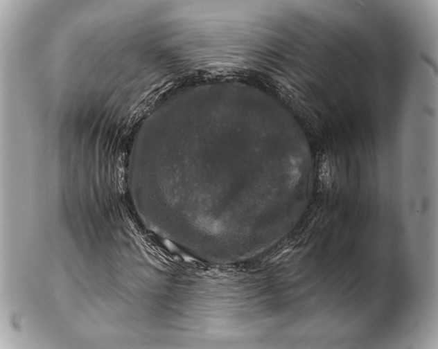 X0000100880868200807071124