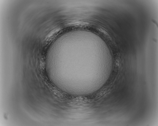 X0000100880869200807071124