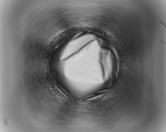 X0000100880870200807071124