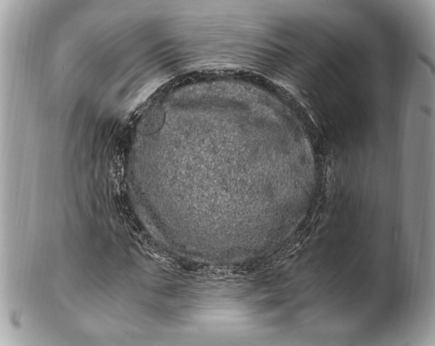 X0000100880871200807071124