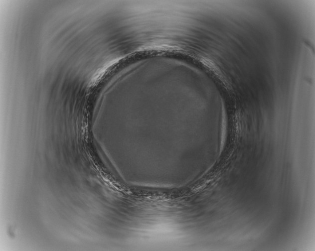 X0000100880872200807071124