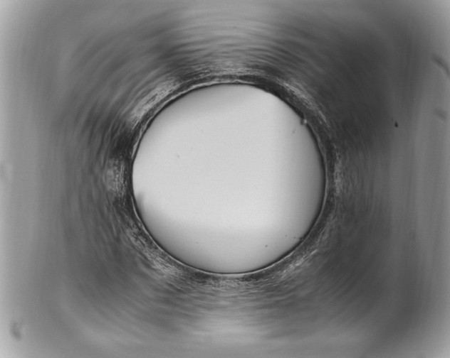 X0000100880873200807071124