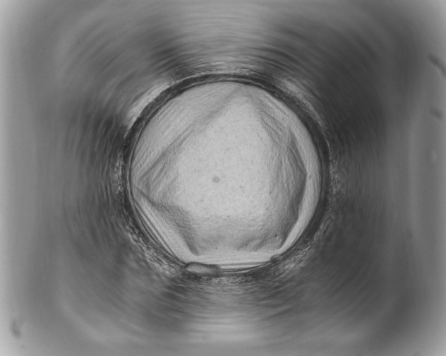 X0000100880875200807071124