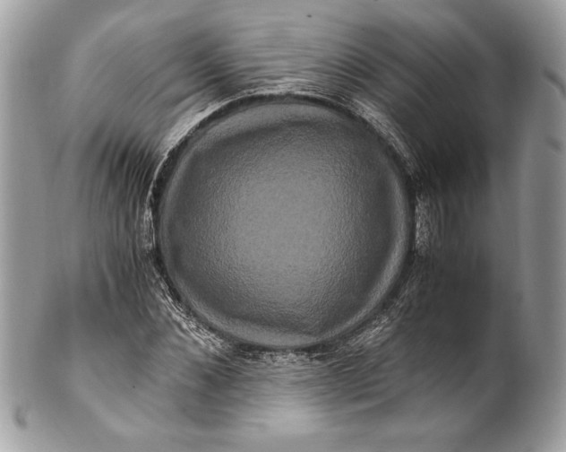 X0000100880876200807071124