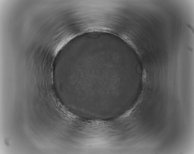 X0000100880877200807071124