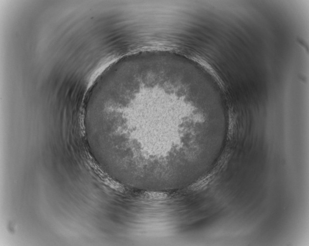 X0000100880878200807071124