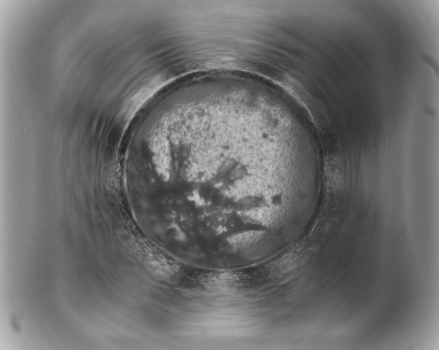 X0000100880879200807071124