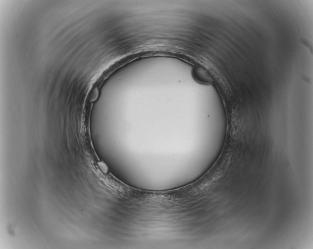 X0000100880880200807071124