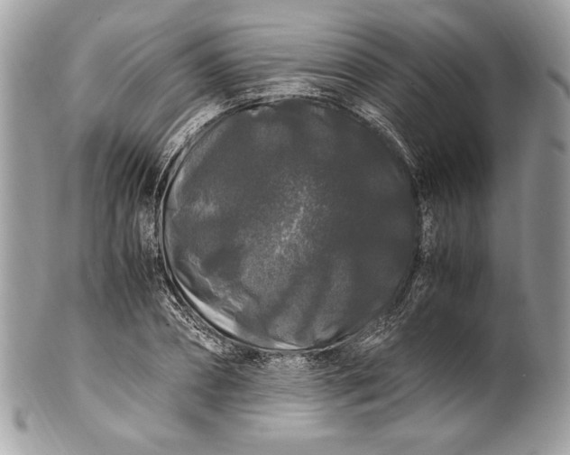 X0000100880882200807071124