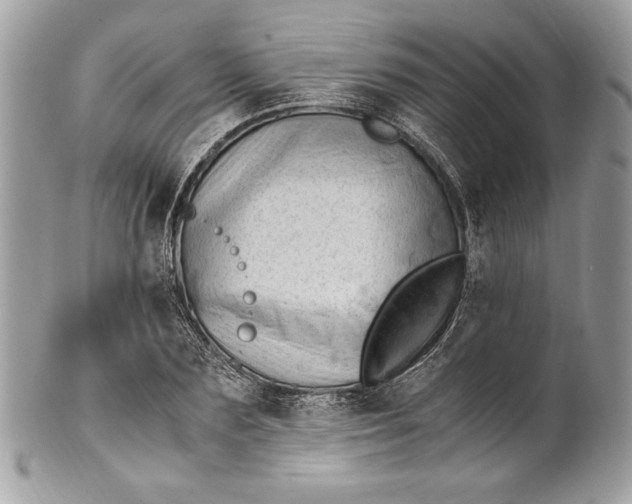 X0000100880883200807071124