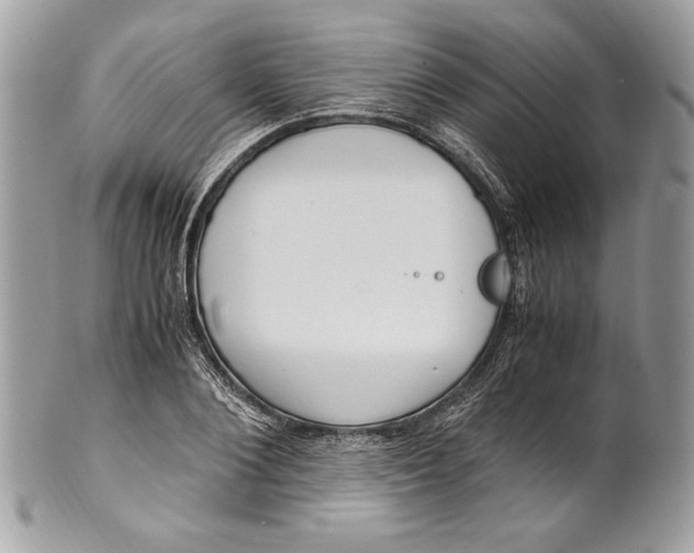 X0000100880884200807071124