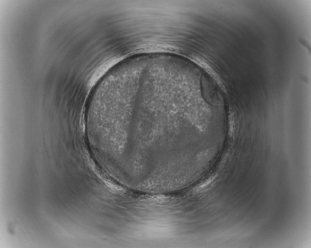 X0000100880885200807071124